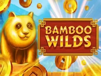 Megawin Casino screenshot